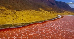 lake-natron-12-e1380971001134